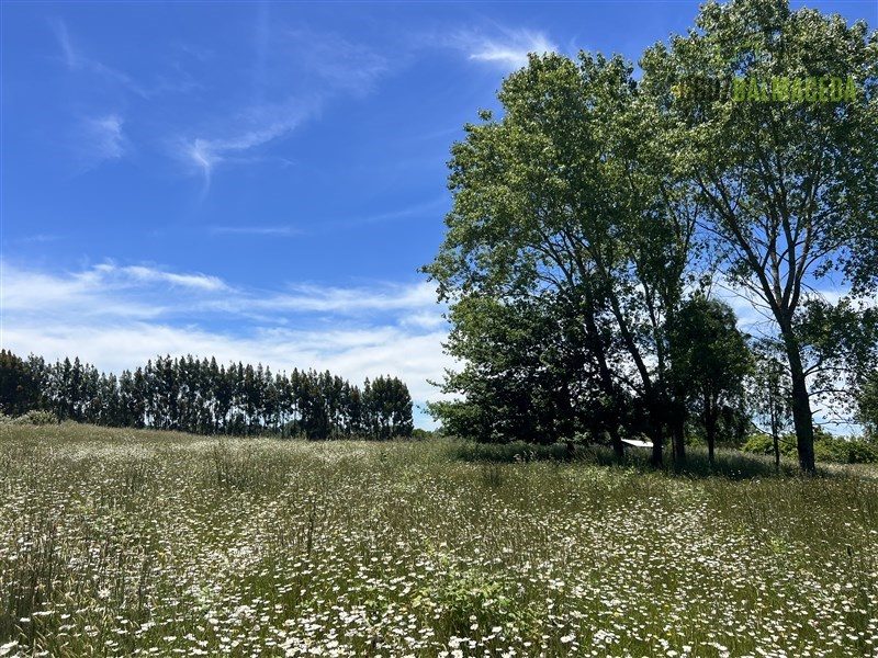 Parcela en venta en Frutillar — foto 4