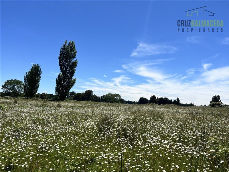 Parcela en venta en Frutillar — foto 5