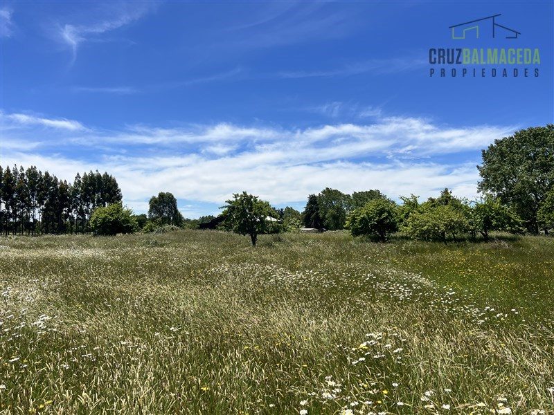 Parcela en venta en Frutillar — foto 6