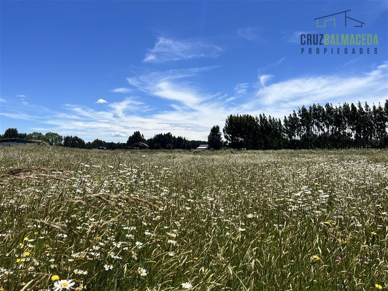Parcela en venta en Frutillar — foto 8