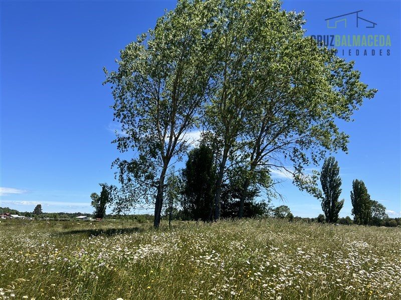 Parcela en venta en Frutillar — foto 9