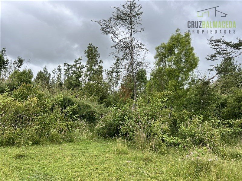 Parcela en venta en Frutillar — foto 10