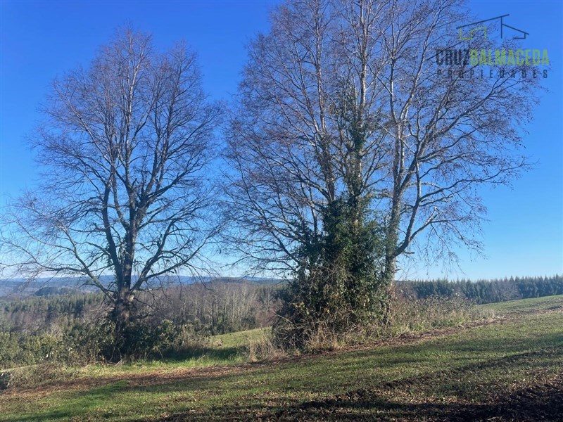 Parcela en venta en Río Negro — foto 4