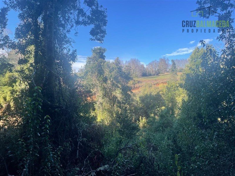 Parcela en venta en Río Negro — foto 9