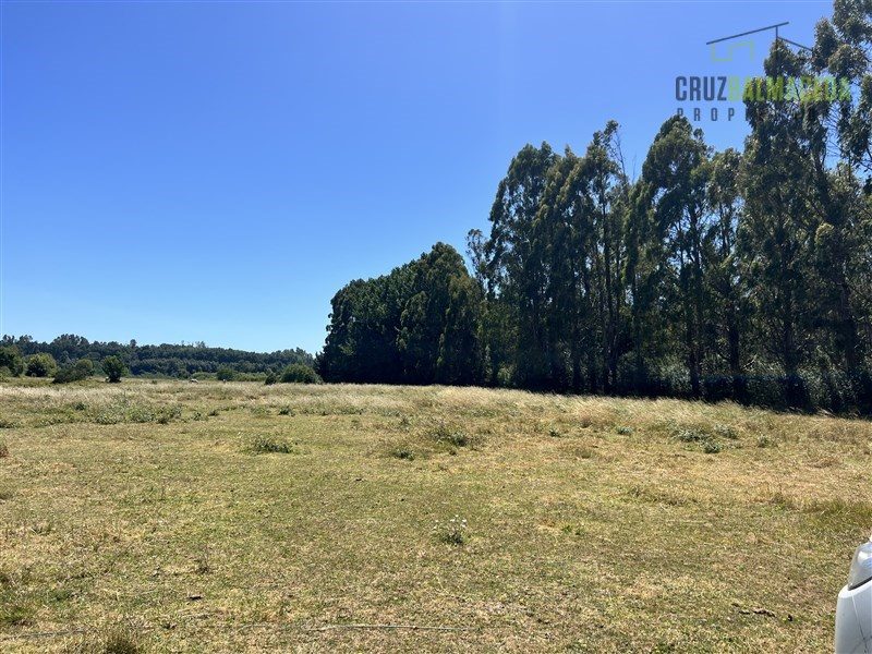 Parcela en venta en Valdivia — foto 4