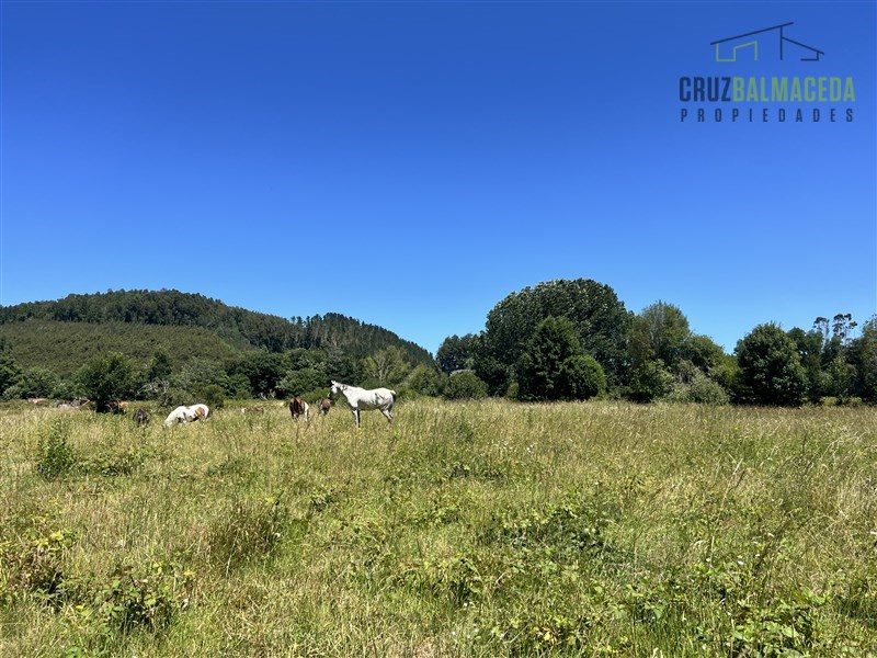 Parcela en venta en Valdivia — foto 6