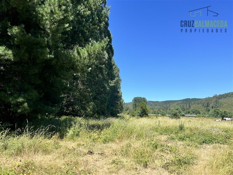 Parcela en venta en Valdivia — foto 7