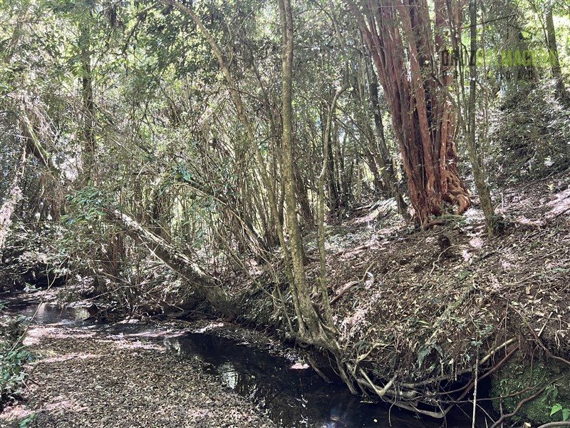 Parcela en venta en Puerto Varas — foto 3