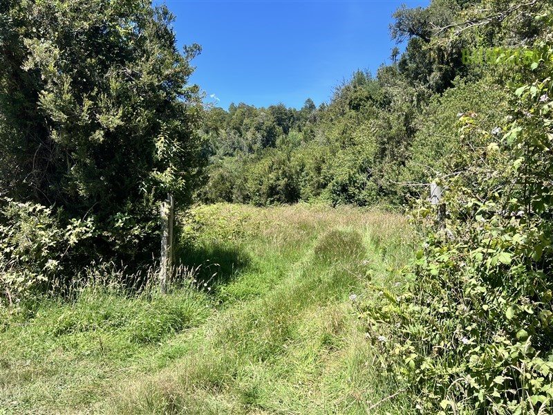 Parcela en venta en Puerto Varas — foto 10