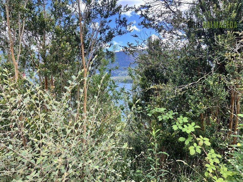 Parcela en venta en Puerto Octay — foto 10