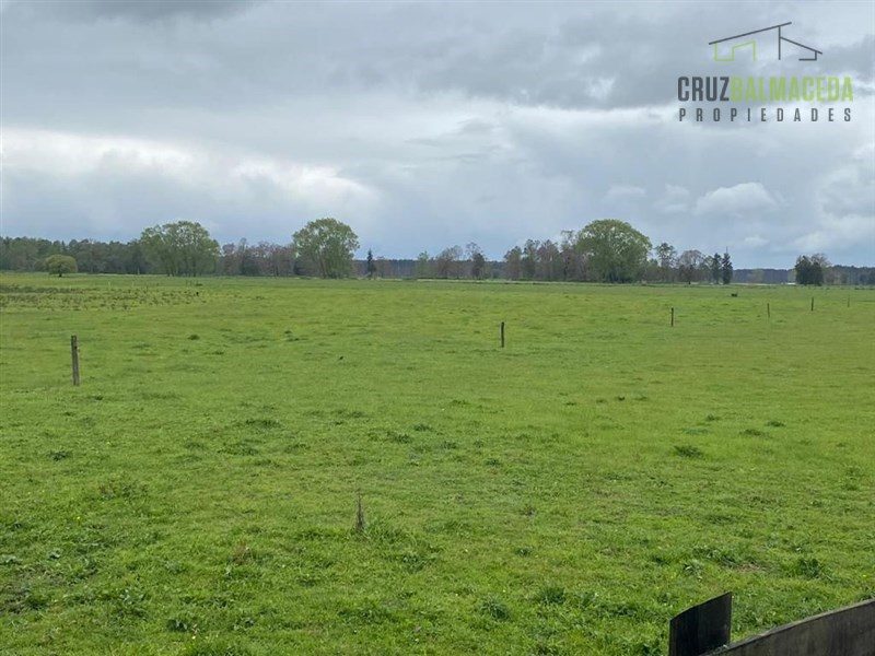 Parcela en venta en Río Bueno — foto 2