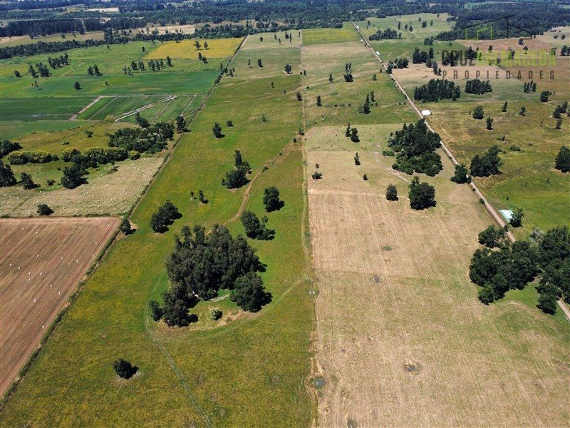 Parcela en venta en Río Bueno — foto 7