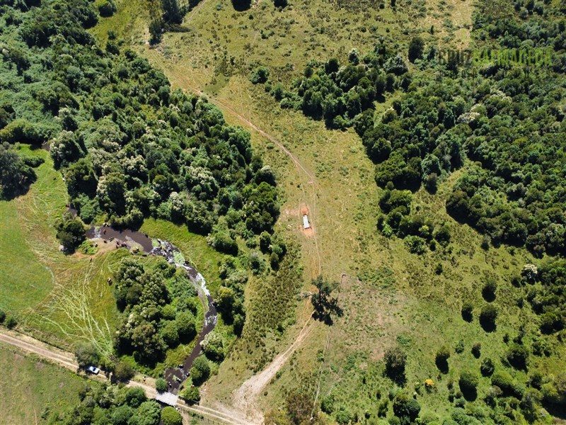 Parcela en venta en Río Bueno — foto 4