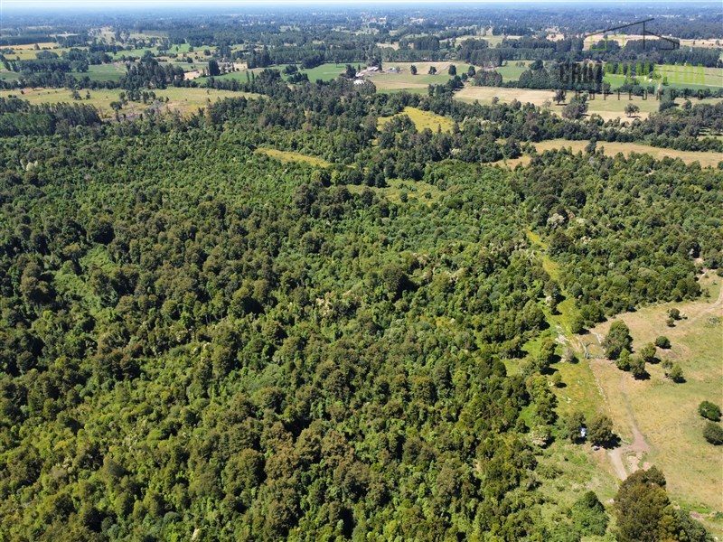 Parcela en venta en Río Bueno — foto 6