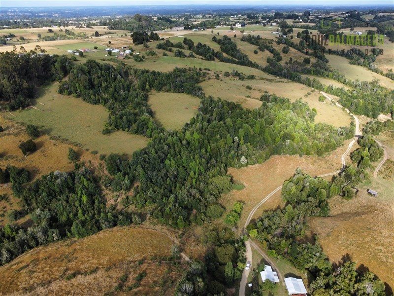 Parcela en venta en Los Muermos — foto 5