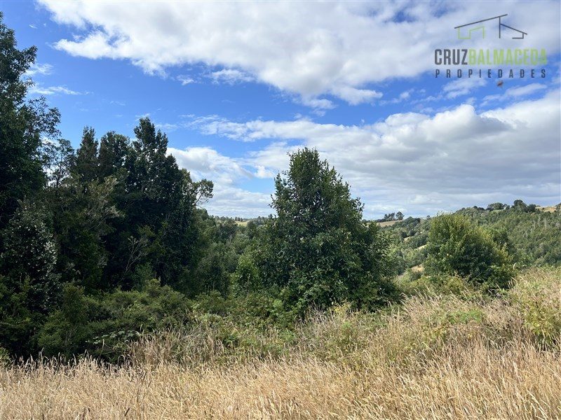 Parcela en venta en Los Muermos — foto 10