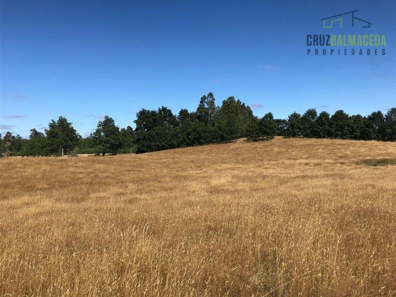 Parcela en venta en Puyehue — foto 2
