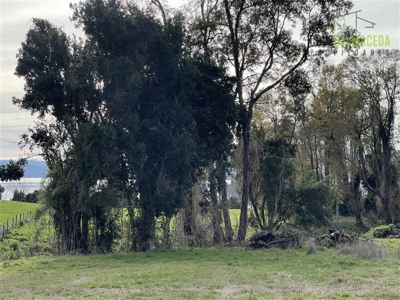 Parcela en venta en Panguipulli — foto 10