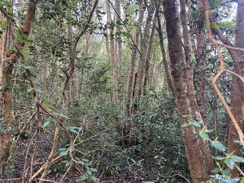 Parcela en venta en Puerto Varas — foto 4