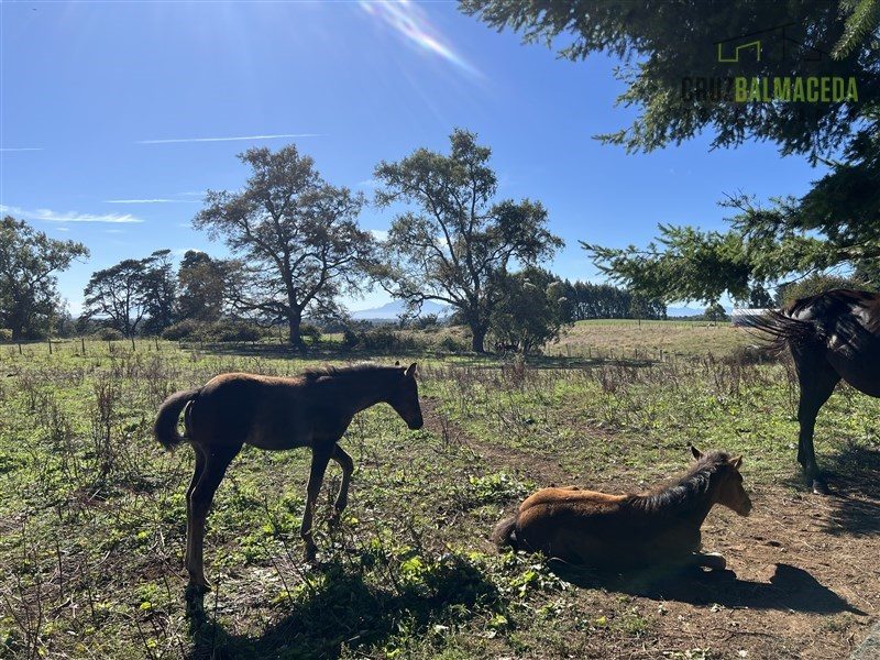 Parcela en venta en Puerto Montt — foto 8