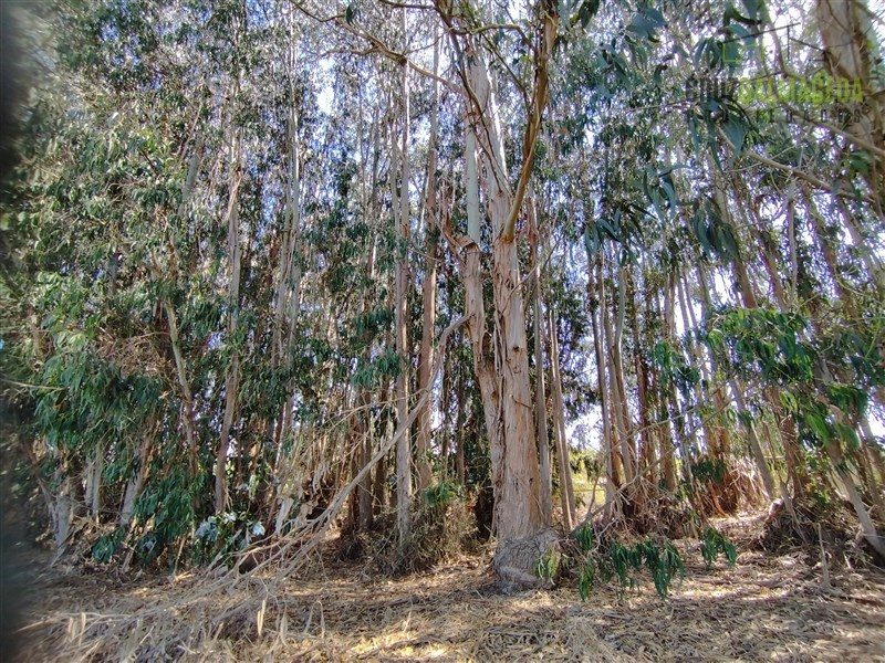 Terreno en venta en Santo Domingo — foto 4