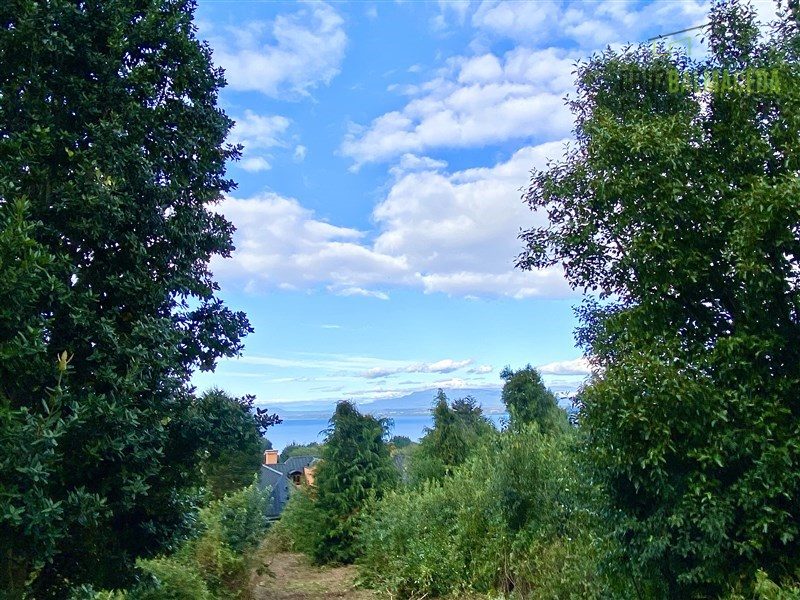 Parcela en venta en Puerto Varas — foto 7