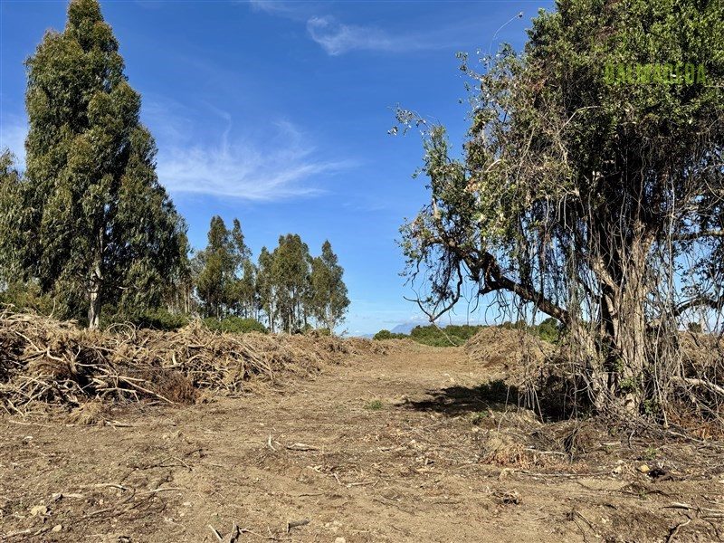 Terreno en venta en Puerto Varas — foto 2