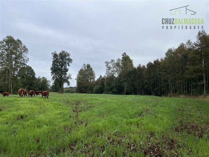 Parcela en venta en Purranque — foto 2