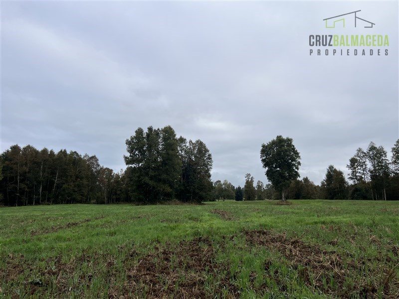 Parcela en venta en Purranque — foto 4