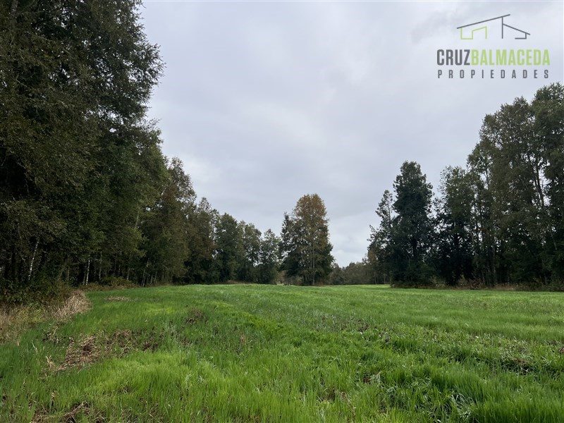 Parcela en venta en Purranque — foto 5