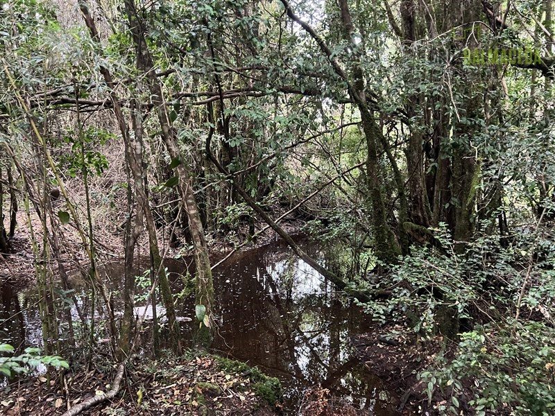 Parcela en venta en Purranque — foto 6