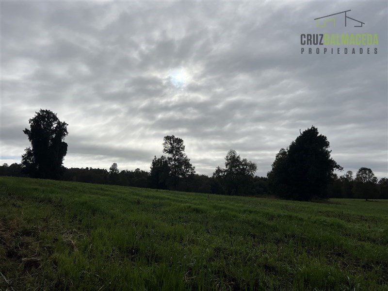 Parcela en venta en Purranque — foto 9