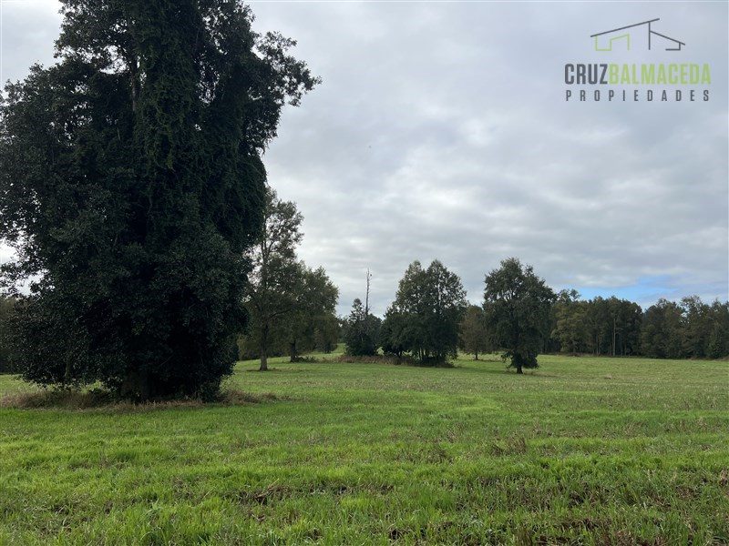 Parcela en venta en Purranque — foto 10