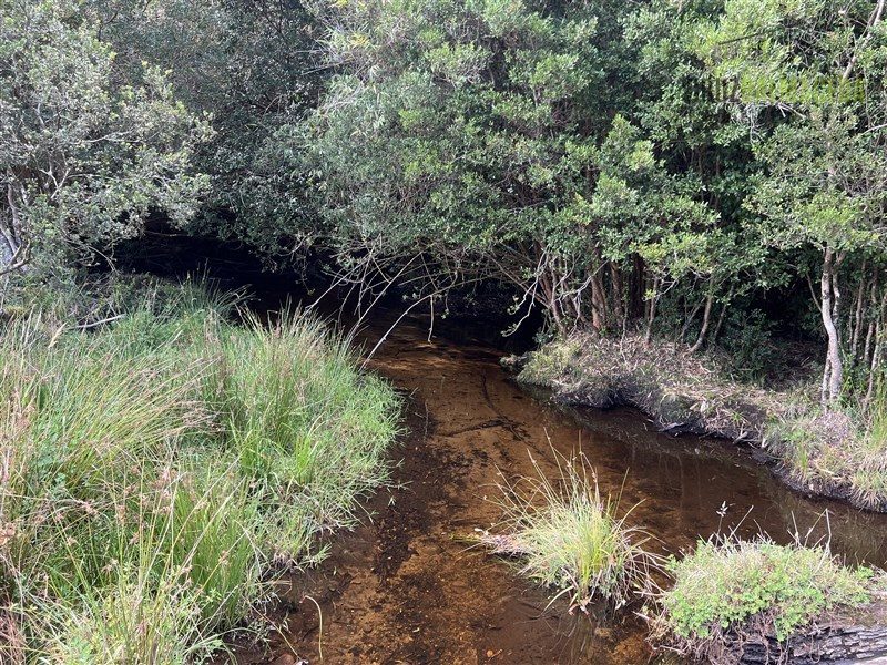 Parcela en venta en Frutillar — foto 8