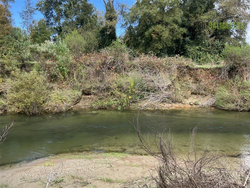 Parcela en venta en Río Negro — foto 3
