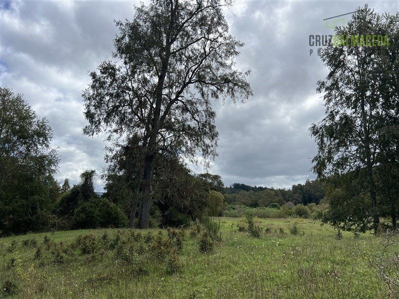 Parcela en venta en Río Negro — foto 5