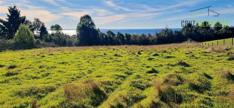 Parcela en venta en Puerto Varas — foto 3