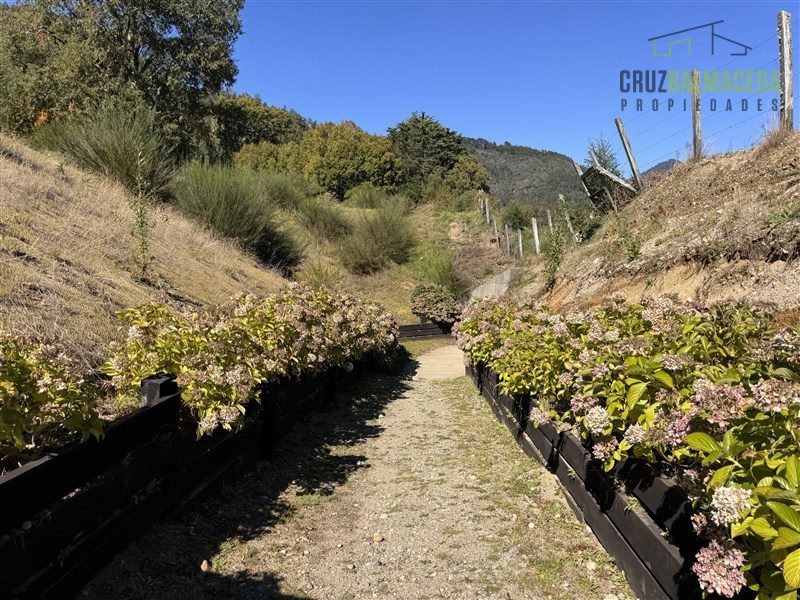 Parcela en venta en Panguipulli — foto 3