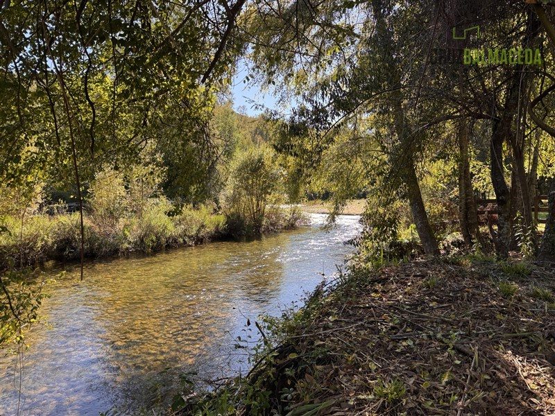 Parcela en venta en Panguipulli — foto 4