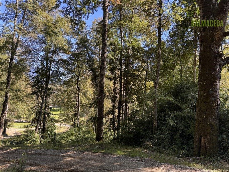 Parcela en venta en Panguipulli — foto 9