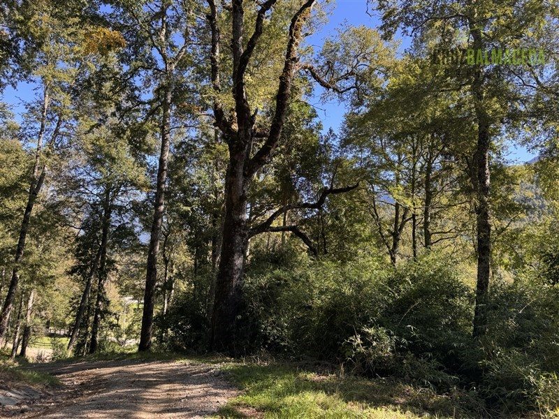 Parcela en venta en Panguipulli — foto 10