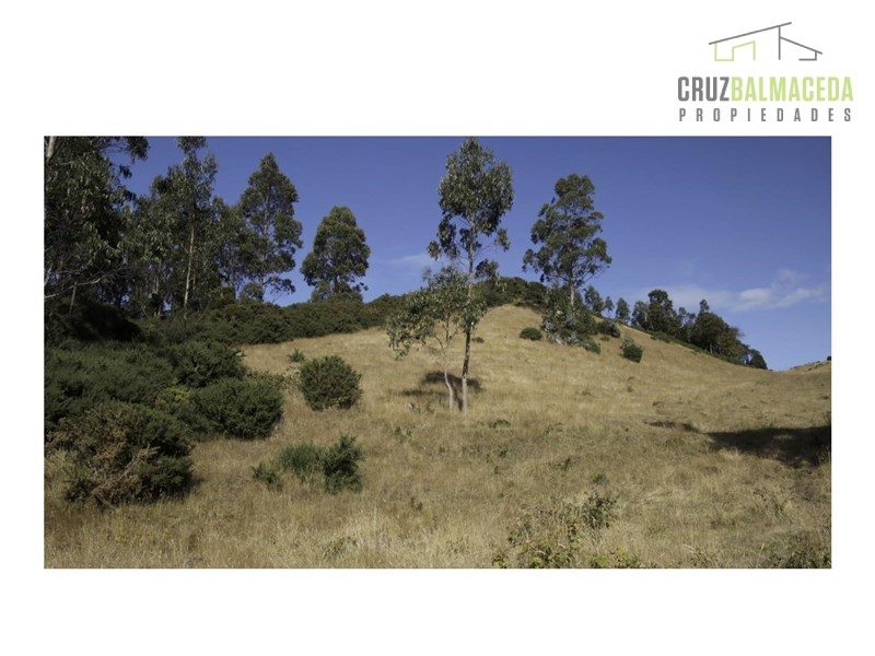 Parcela en venta en Castro — foto 10