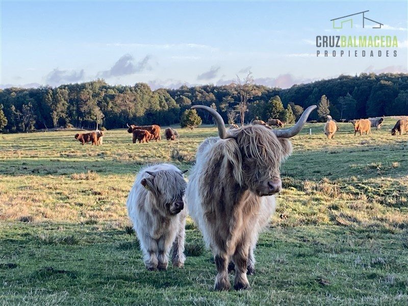 Parcela en venta en Puerto Varas — foto 8