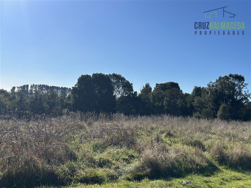 Parcela en venta en Puerto Varas — foto 4