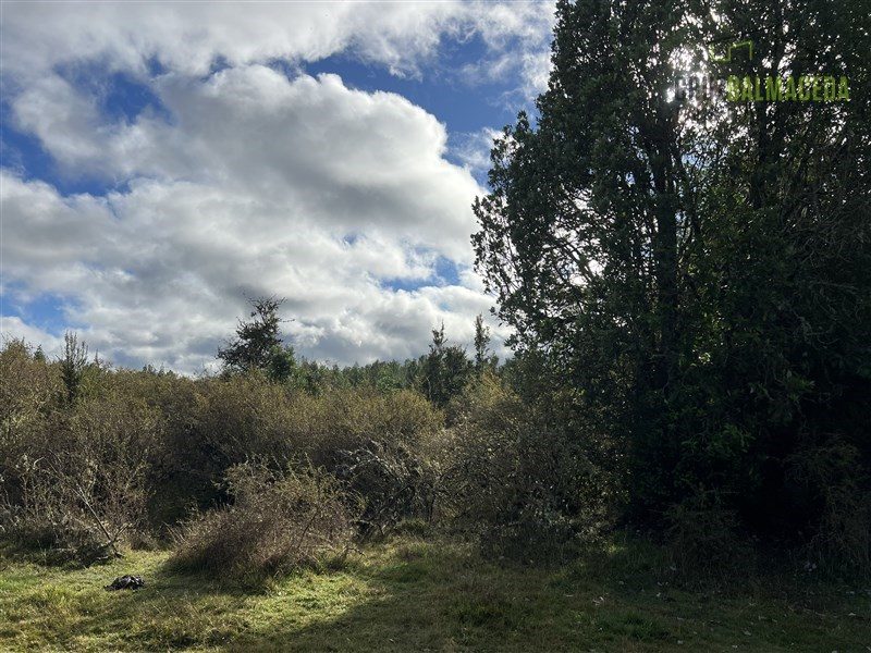 Parcela en venta en Calbuco — foto 8
