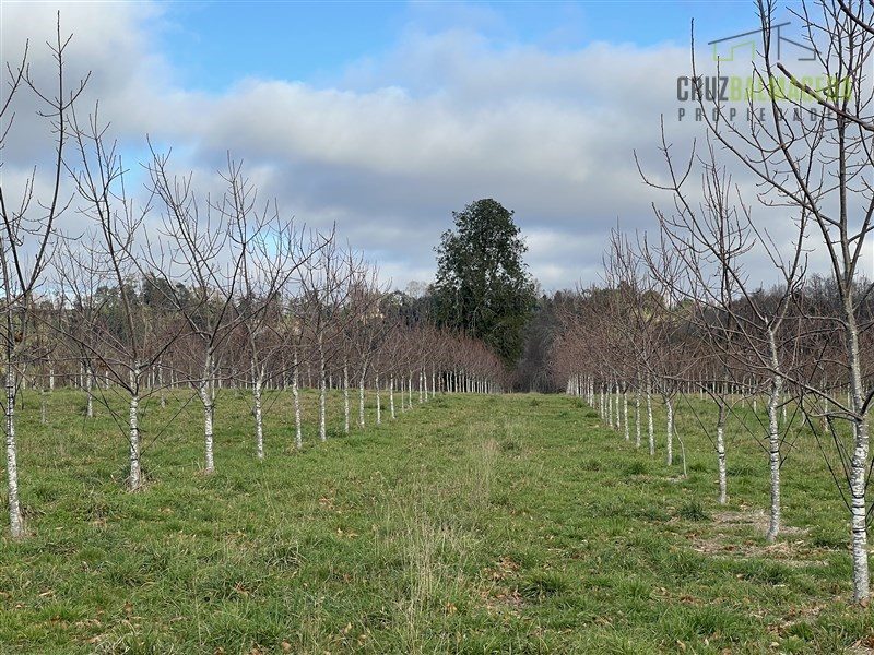 Parcela en venta en Lago Ranco — foto 3