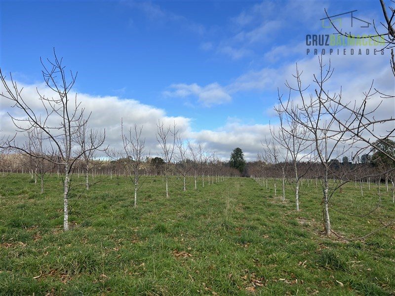 Parcela en venta en Lago Ranco — foto 4
