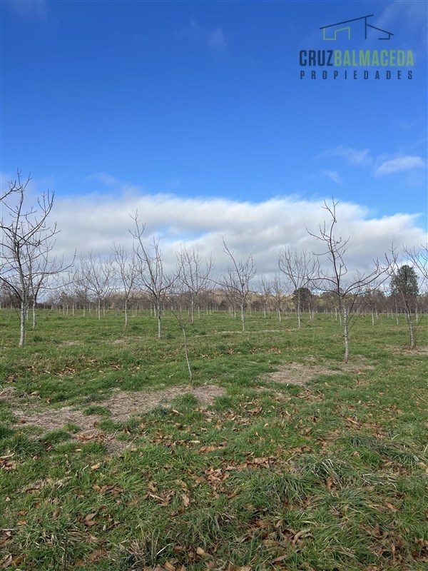 Parcela en venta en Lago Ranco — foto 7