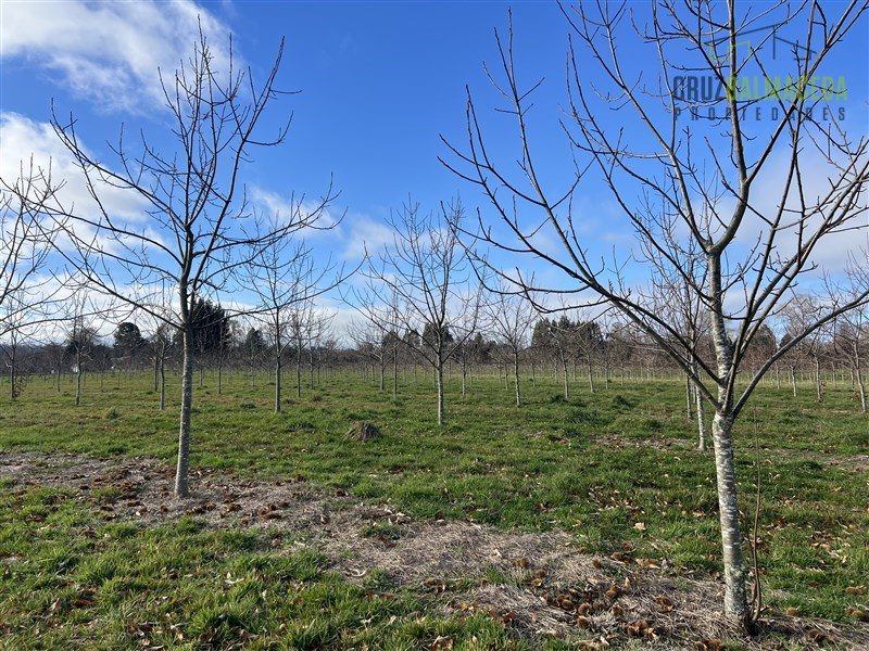 Parcela en venta en Lago Ranco — foto 9