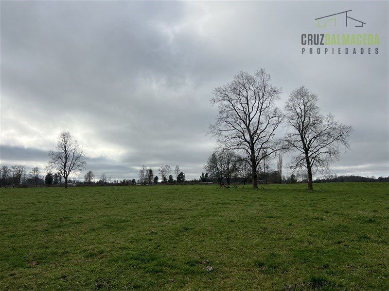 Parcela en venta en Futrono — foto 4
